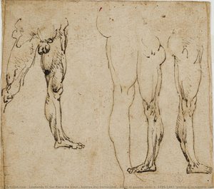 Studi Di Gambe Virili, C. 1485-1487 (penna E Inchiostro, Con Tracce Di Punta Metallica Su Carta) — Leonardo Di Ser Piero Da Vinci & Andrea Del Verrocchio
