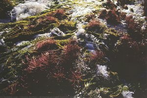 Waterfall Of Santo Antonio, Jari River — Claudia Andujar