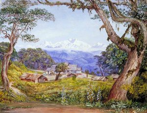 Uitzicht Op Kinchinjunga Vanuit Tonglo — Marianne North