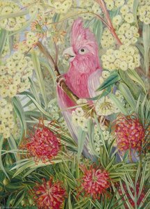 West-australische Vegetatie — Marianne North