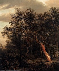 Untitled — Jacob Van Ruisdael
