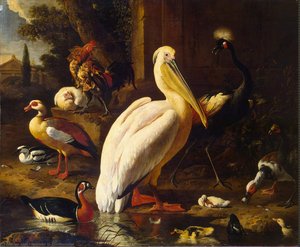 Birds In A Park — Melchior De Hondecoetter
