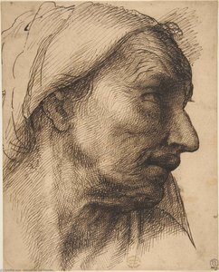 Head Of An Old Woman — Sebastiano Del Piombo