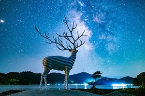 White Deer (oshika) — Kohei Nawa