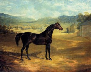 The Bay Stallion Jack Spigot — John Frederick Herring Senior