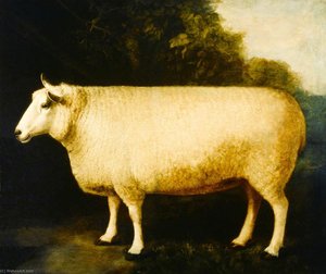 Improved Leicester Ewe — William Shiels