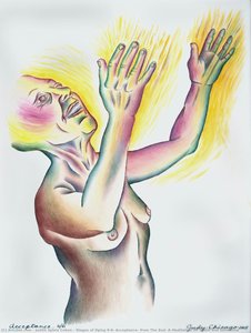 Stages Of Dying 6/6: Acceptance, From The End: A Meditation On Death And Extinction — Judith Sylvia Cohen