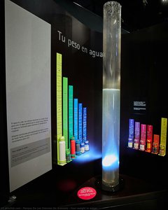 Your Weight In Water — Parque De Las Ciencias De Granada