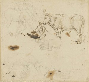 Ein Ox Und Ein Gaul, Und Andere Studien Über Ochsen — Leonardo Da Vinci