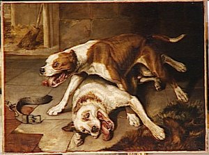 Chiens Se Battant , Reprenant Souffle — Edwin Landseer