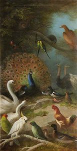 The Parliament Of Birds — John Bucknell Russell