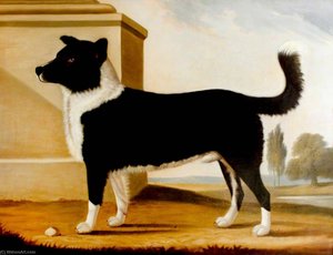 Lord Byron's Dog 'boatswain' (1803–1808) (the Newfoundland) — Clifton Tomson