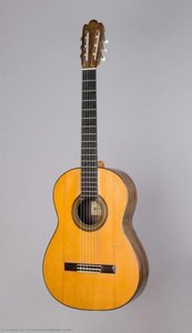 Guitar — Enrique Garcia Requena