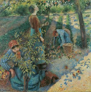 Cosecha De Manzanas — Camille Pissarro