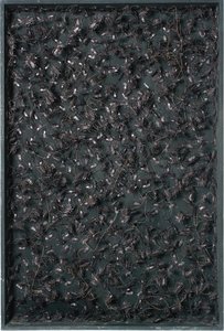 Cockroaches — León David Ferrari
