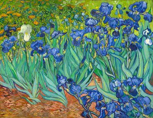 Irises [1889] — Vincent Willem Van Gogh