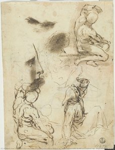 Tres Estudios Y Un Boceto De Una Figura Masculina Tanto Desnuda Como Vestida (para La “estigmatización De San Francisco”, Urbino, Galleria Nazionale Delle Marche); Perfil — Federico Fiori Barocci