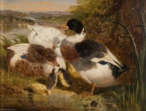 Ducks And Ducklings In A Landscape — John Frederick Herring Ii