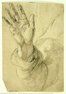 Upraised Right Hand, With Palm Facing Outward: Study For Saint Peter — Raphael Coxcie