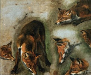 Studies Of A Fox — Boel Pieter (boule)