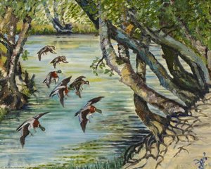 Pond, Stanmore Common — Josephine Venis