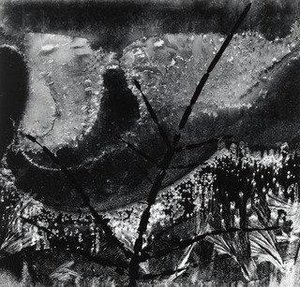 Ritual Branch — Minor White