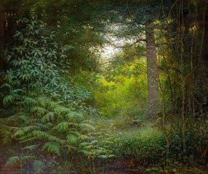 In Hiding — Benjamin Haughton