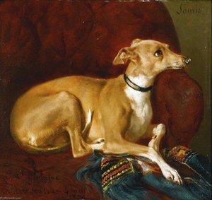 A Greyhound Resting On A Chair — Jacques Raymond Brascassat