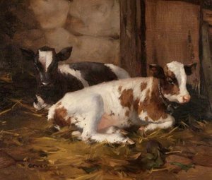 Two Calves — David Gauld