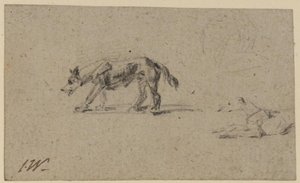 Study Of Two Dogs — James Ward