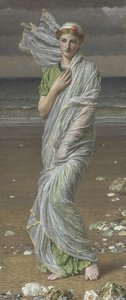 Seashells — Albert Joseph Moore