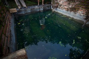 Fermentation Of Indigo Leaves — Fidel Ugarte