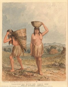 Transporting Water And Grass Seed, Valley Of San Joaquin, California — Seth Eastman