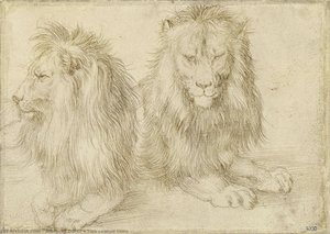 Due Leoni Seduti — Albrecht Dürer