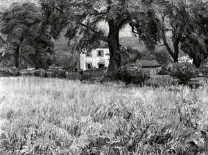 Sussex Meadow — Raymond James Coxon