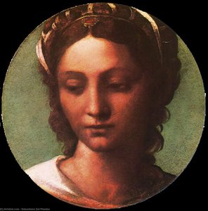 Female Head — Sebastiano Del Piombo