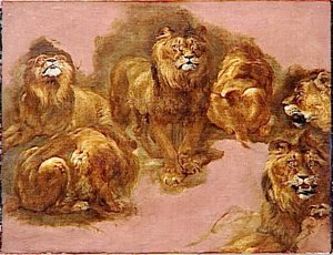 Etudes De Lionnes — Boel Pieter (boule)
