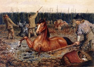 Crossing Swamps Near Head Water, North Saskatchewan — William George Richardson Hind