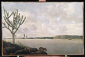 Le Rio San Francisco Et Le Fort Maurice, Au Bresil — Frans Post