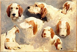 Têtes De Chien — Bonheur Marie Rosalie