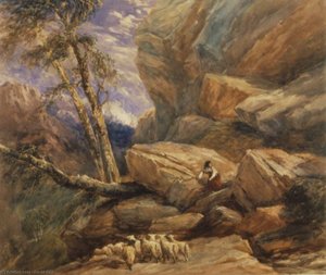 The Missing Flock — David Cox
