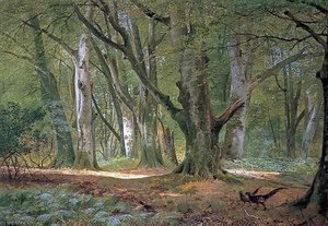 In The Shade Of The Beeches, Buckhurst Park, Kent — Richard Beavis