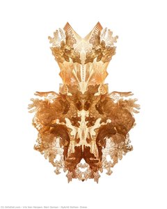 Hybrid Holism, Dress — Iris Van Herpen, Neri Oxman