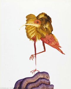 Bird — Sir Sidney Robert Nolan