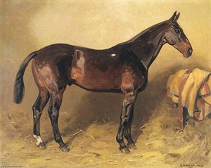Horse Portrait, 'ruka' — Alfred Grenfell Haigh