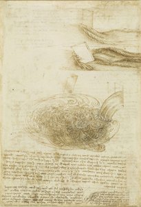 Vandstudier — Leonardo Da Vinci