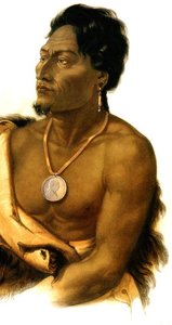 Chief Of The Puncas — Karl Bodmer