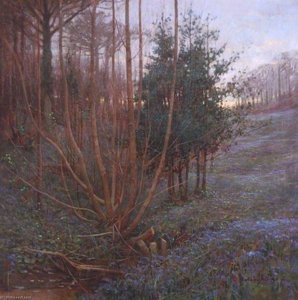 Wild Hyacinths — Benjamin Haughton