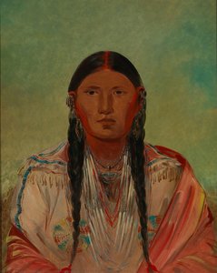 Ru-ton-wee-me, Taube Im Flug — George Catlin