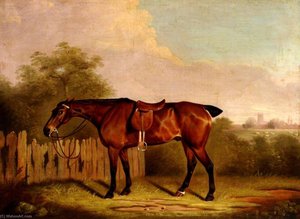A Saddled Bay Hunter In A Landscape, Beside A Fence — Clifton Tomson